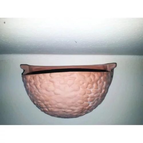 Füstifecske fészek